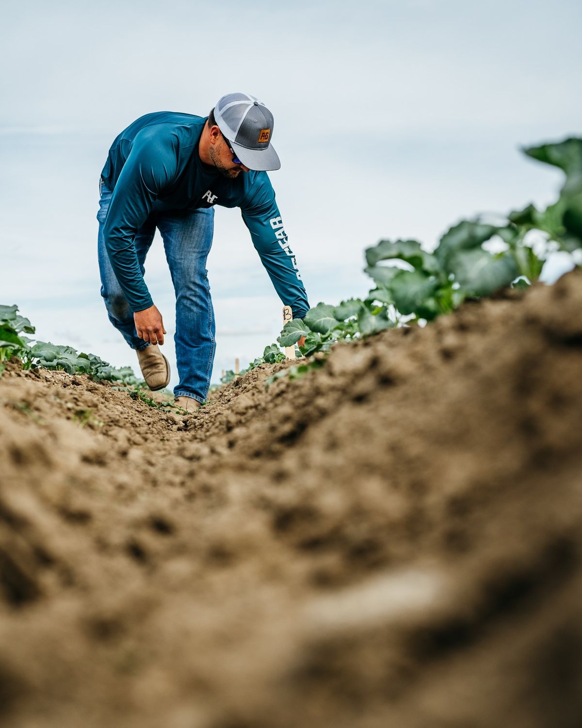 Agriculteur dans son champ de cultures