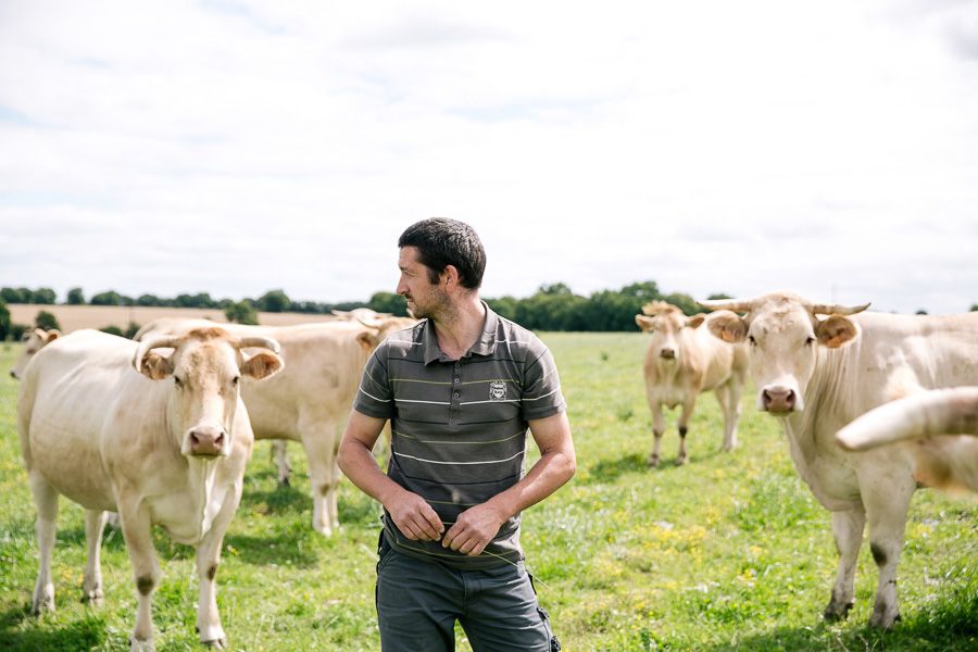 Éleveur avec son troupeau dans un pré