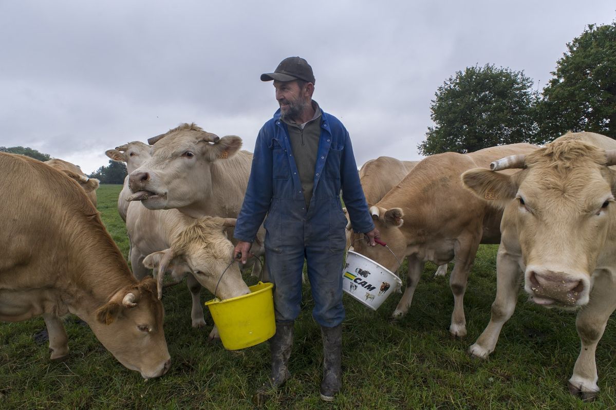 Cultures agricoles